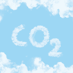 Afbeelding voor categorie Kooldioxide CO2